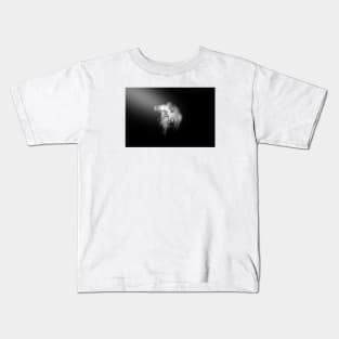 Lion in the Spotlight 4/4/22 / Swiss Artwork Photography Kids T-Shirt